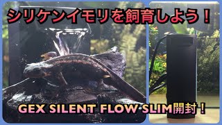 イモリウム　rpn mqdefault.jpg