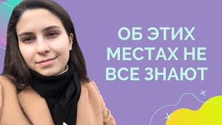 Куда сходить в Вильнюсе? Букинистический магазин, истории про котика, кафе в аптеке и экскурсии