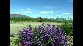 USA Alaska - Eine Traumreise mit dem Fahrrad
