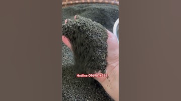 Trà Tấm Đinh ngon Tuyệt Phẩm của Trà Đinh Đặc Biệt