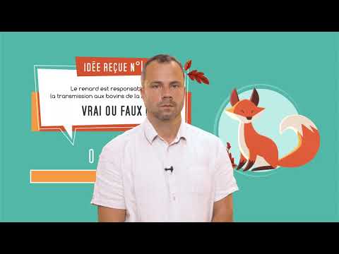 Vidéo: Effets De La Dose D'épreuve Et De La Voie D'inoculation De L'isolat Virulent De Neospora Caninum Nc-Spain7 Chez Les Bovines Gestantes à La Mi-gestation