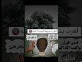 اكسبلور القزابري المصحف لايك ترند المراه تصميمي اهميه الرمال تيك توك اعتني دويتو