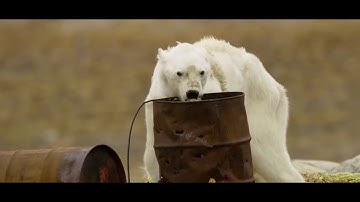 AURORA - The Seed (Mother Nature Music Video)