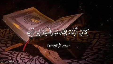 كِتَالٌ أَنزَلنَاهُ إِليكَ مُبارَكٌ ليَدبّروا آيَاتِهِ | اسلام صبحي 🎧تلاوة خاشعة💚الآية (29_42)