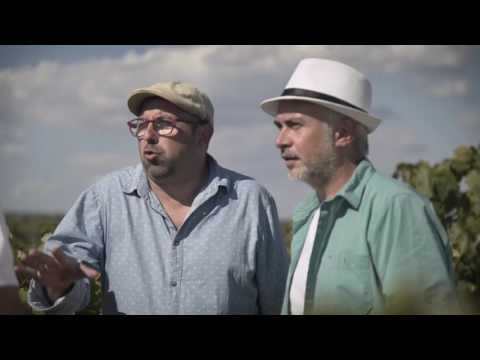 Vídeo: Creix vinyes al sud: quines són les millors vinyes del sud per cultivar