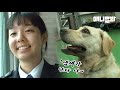 나라에서 허락한 유일한 마약...탐지견..☆ 한국말은 역시 끝까지 들어야 제...육볶음..☆ㅣDog Barking At One Man's Bag In The Airport..