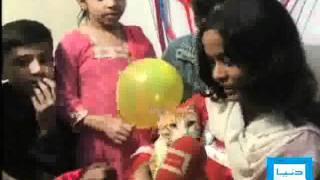 Dunya TV-Cat Brithday