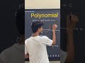 The graph (curve) of quadratic polynomial
