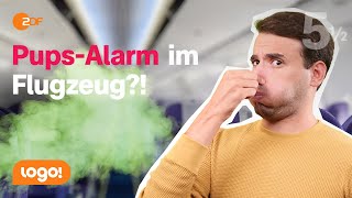 Do people fart more on airplanes! | 5½ Facts
