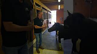 Horse Barn Security Camera Installation Services in Richmond MI by RSI Audio Video Security