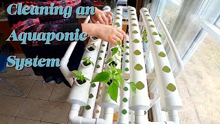 Getting Our Vivosun Aquaponic System ready for seeds! #Aquaponic #Gardening