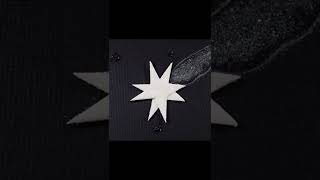 「ヤシの木たちは見た！」のできるまでなど　#Shorts