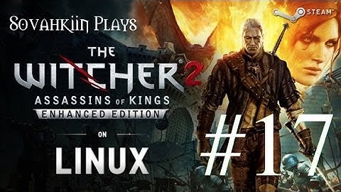 Sovahkiin Plays on Linux: Witcher 2 - Episode 17