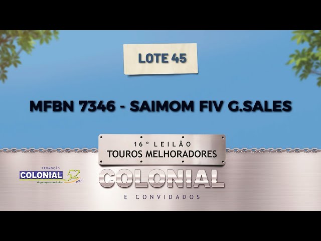 LOTE 45 MFBN 7346