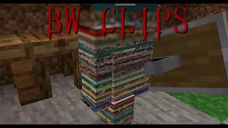 BW CLIPS | CLARITY | feat. Jasminee, HighRankPlayer, Haride, Hetse