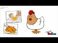 السيدة دجاجة | تعليم اطفال | امرح وتعلم