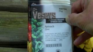 Sowing and Transplanting Fall Crops in the Hoop House