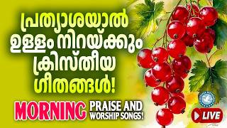 🔴 (LIVE) Morning Praise & Worship Playlist 🙏 Songs for Prayer ✝️ Malayalam Christian Devotional