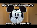 【TDR】ディズニーリゾートライン・ミッキーマウスラッピング