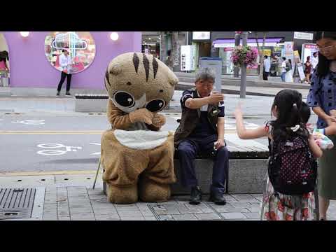 JHKTV] 신촌 명물고양이 먹고싶지shin chon special <strong>cat</strong> You want to <strong>eat</strong> it.