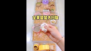 #儿童启蒙早教益智动画片  #萌宠好物  #萌宠出道计划  #奥特曼儿童动画片  #3到6岁儿童益智早教动画