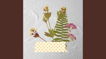 Joyful Backdrops for Forgetting Sorrows