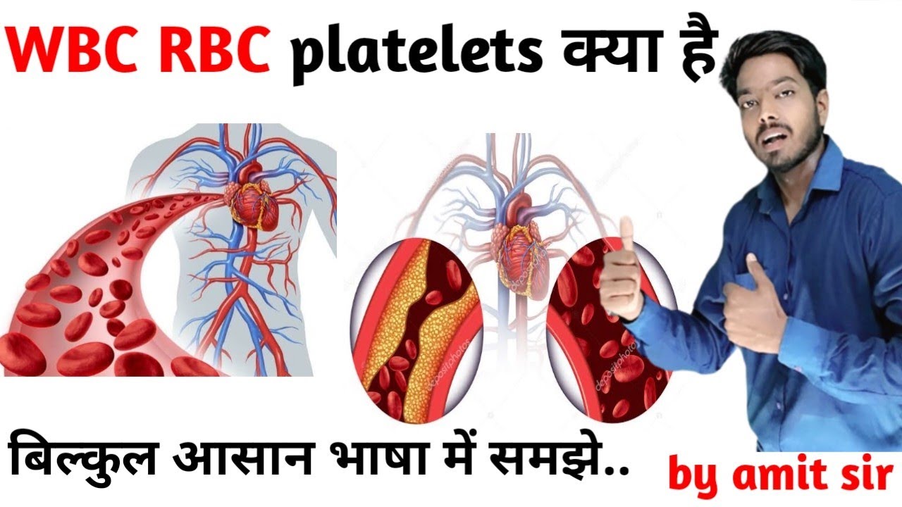 Key Way Rbc Youtube What is wbc, rbc and platelets || WBC, RBC Platelets in hindi || by ...