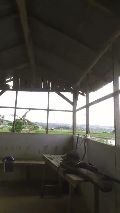 ubi kopi #shorts #tiktok #instragram #reels #shortvideo #borneo #instragramreels #facebook #kopi