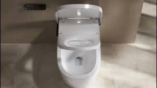 Inspira X Smart Toilet | Roca