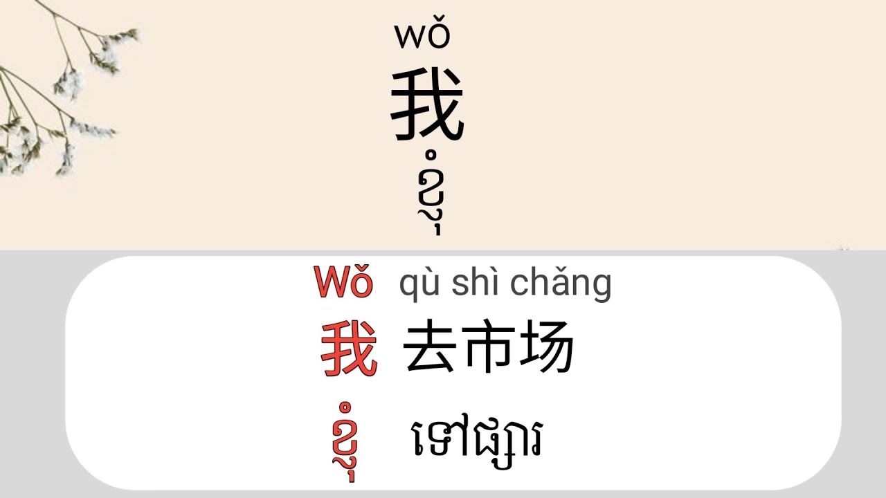 “ចង់និយាយចិនបានលឿន? ចាប់ផ្តើមពីប្រយោគនេះ!” #LearnChinese  #DailyChinese #ChineseLanguage