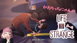 私なりの【LIFE IS STRANGE】# 3