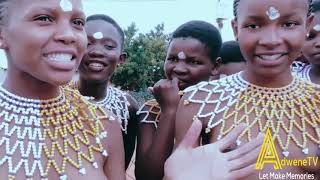 Zulu Maidens - Zulu Festivals