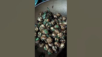 cá lóc đồng hấp nước mắm