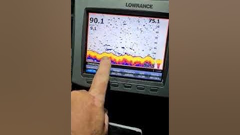 The difference between sensitivity and scrolling speed on the fishfinder.