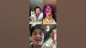 Bogolaa Duet Cat Ytshorts Funny Tiktok 
