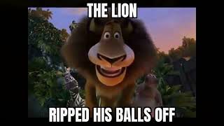 The lion ripped his balls off
