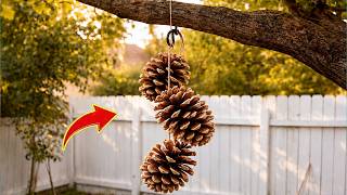Hang Pine Cones on a branch Every house needs this and no one does it!😱 Creation Daily