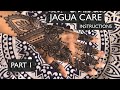 Jagua Care Instructions (Part I)