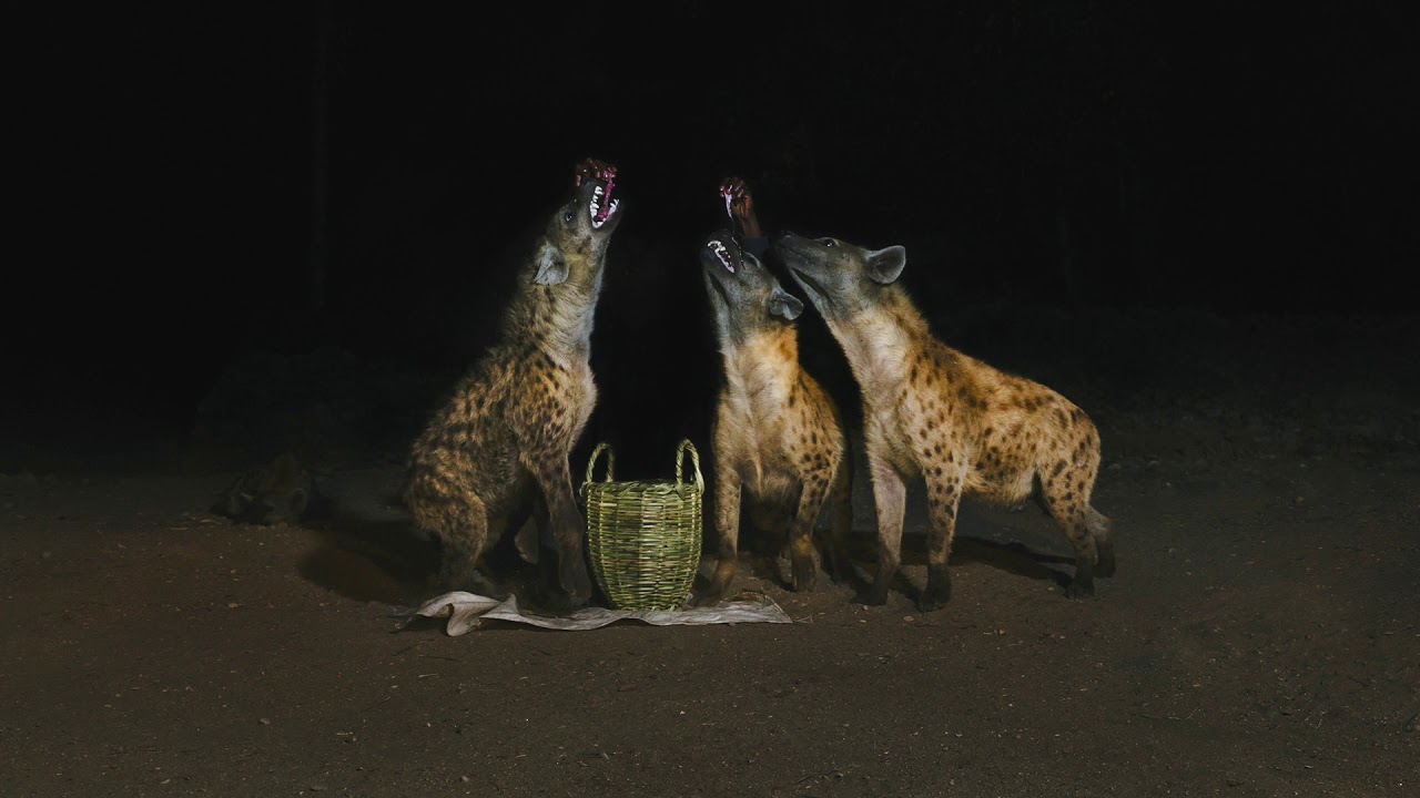 Watch Years of Denial - Burning Sun on YouTube Watch Years of Denial - Burning Sun on YouTube