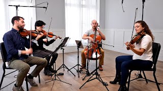 Mozart  Eine Kleine Nachtmusik [DOVER QUARTET]