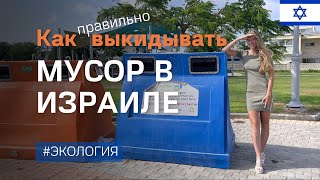 Как правильно выкидывать мусор в Израиле и как на нем заработать. Как, что и куда выкидывать