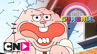 Gumball Csodálatos Világa Új Gördeszka  Cartoon Network