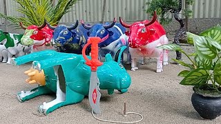 WADIDAU ‼️🐂‼️ WALKING COW PROSES SAPI COW MOO CARTOON VIDEO SAPILUCU #411 