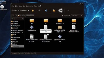 Google Earth in ubuntu Tutorial