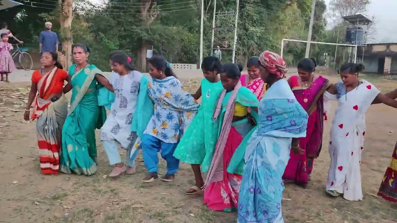 Tribal dance video || Dance video|| ho culture || Bala dance video || sanshiva sangita||