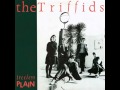 The Triffids - Hanging Shed