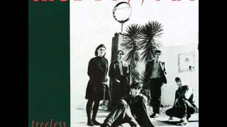 The Triffids - Hanging Shed