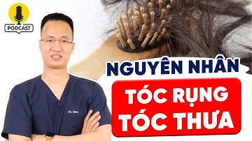 3 Nguyên nhân chính khiến tóc rụng, tóc thưa #podcast | Dr Hiếu