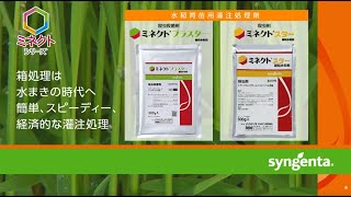 水稲箱処理は水まきの時代へ。簡単、スピーディ、経済的な灌注処理。水稲育苗箱用灌注処理剤「ミネクトシリーズ」