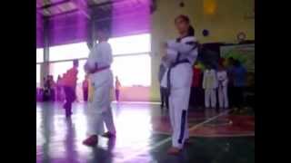 PCSHS Intamural 2011 Taekwondo